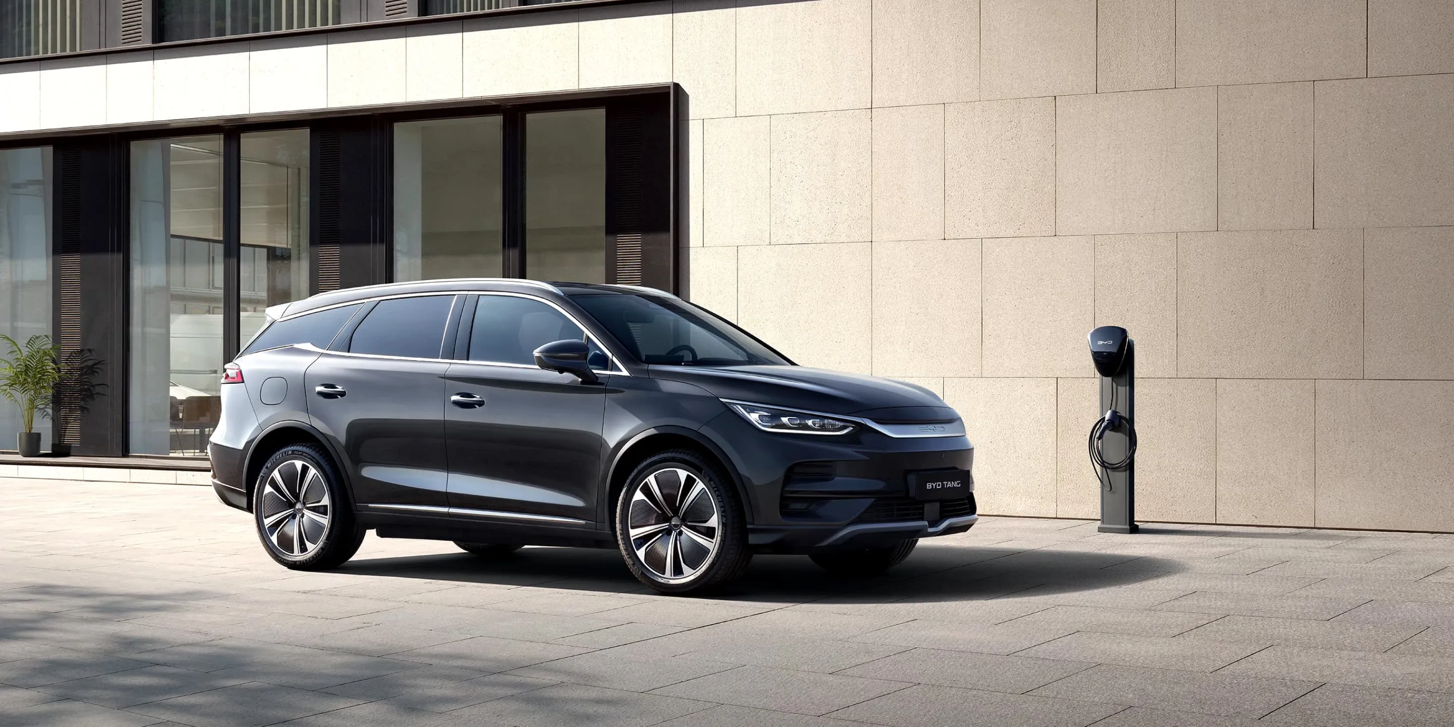 BYD TANG charging — fast DC charge at home or public station | France AJ Group