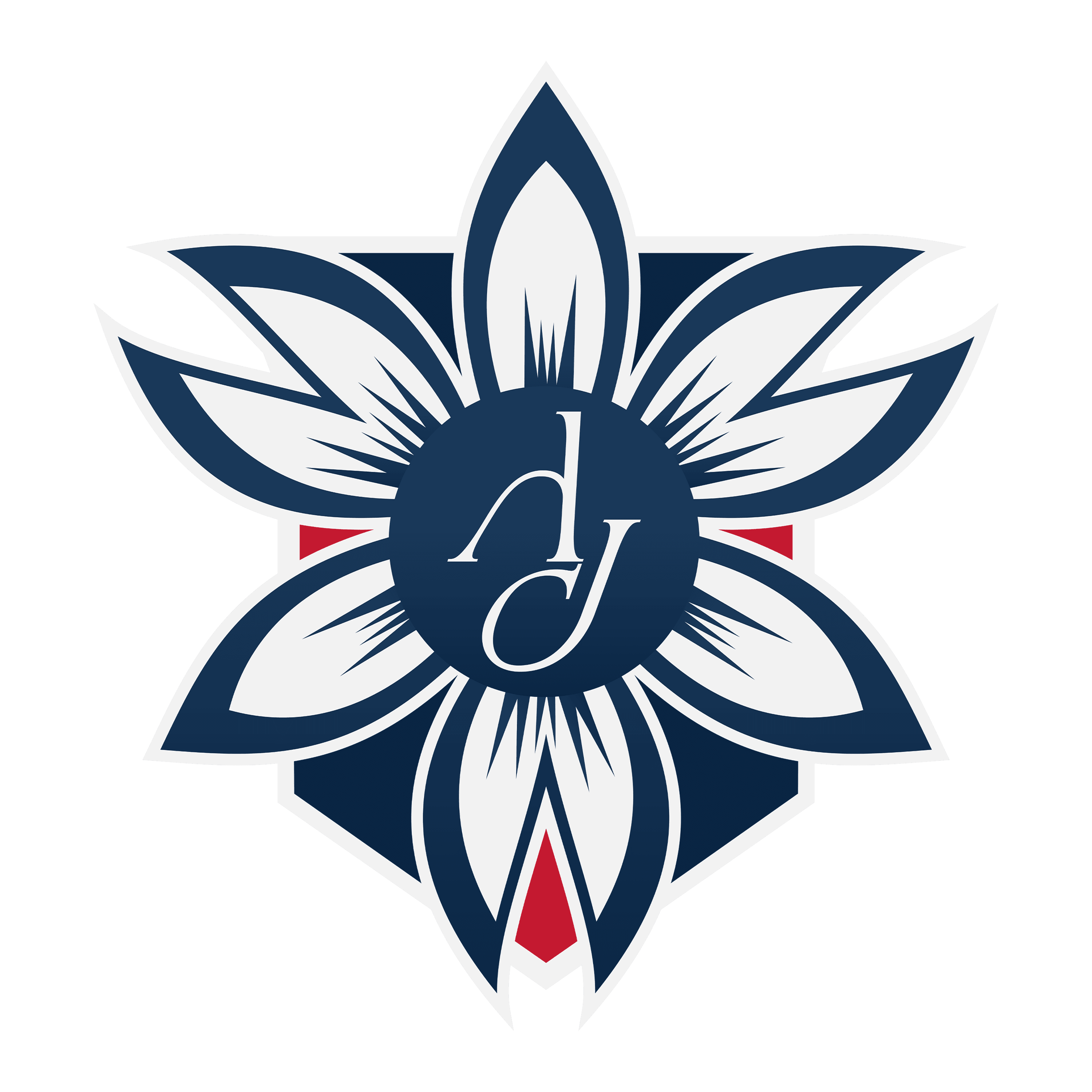 France AJ Alimentaire - Global B2B Food Export Supplier